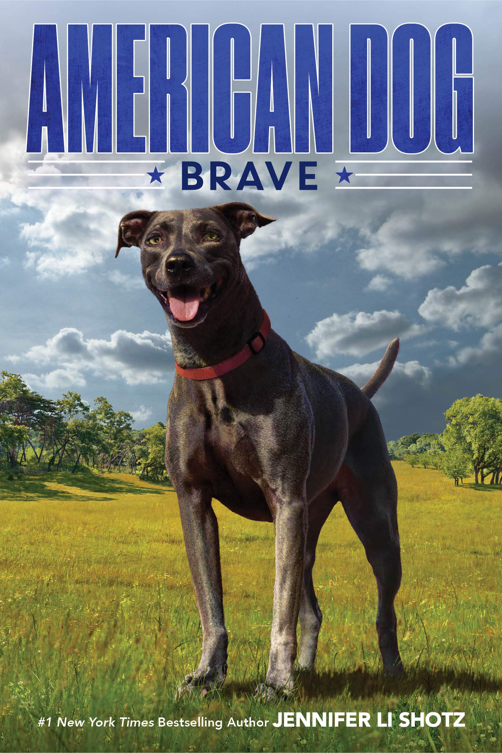 Brave American Dog Shotz Jennifer Li 9780358108672 Amazon Com Books