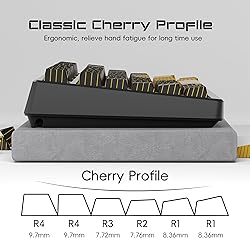 GMKWTL XVX Topograph Shine Through Keycaps Side