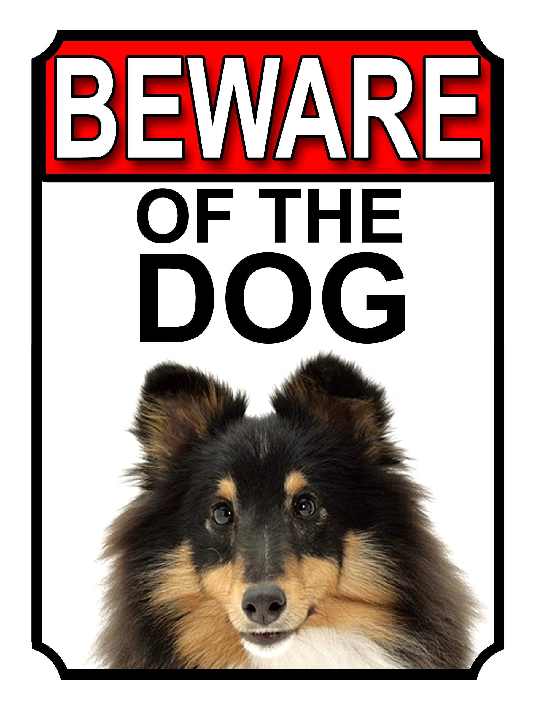 BEWARE OF THE DOG METAL GATE SIGN SHETLAND SHEEPDOG 200MM X 150MM (1151H1)
