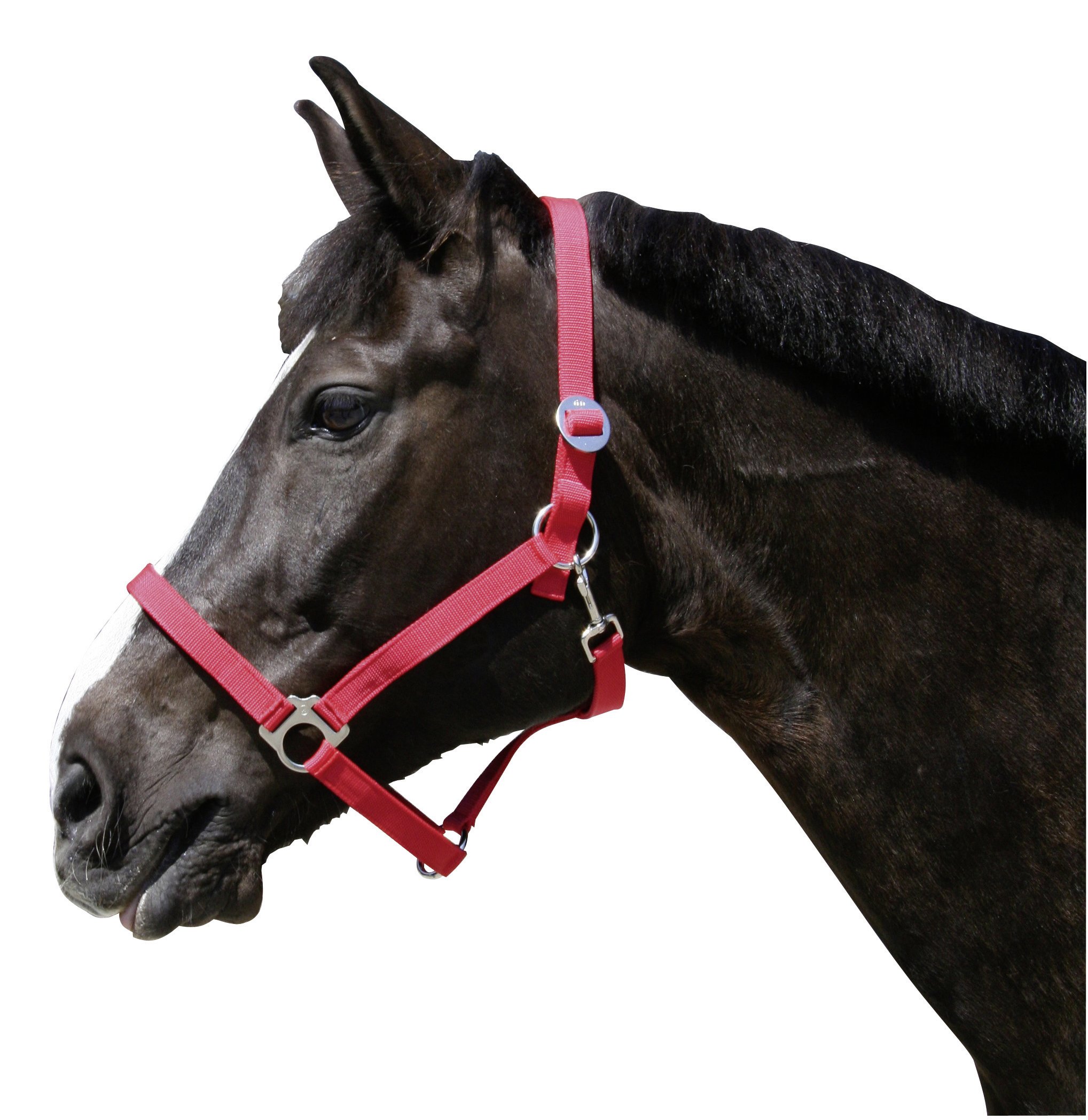 Kerbl Classic Head Collar - Red, Size 1