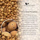 Growcery Premium Clay Pebbles For Plants 50L Multipurpose Growing Medium view 5