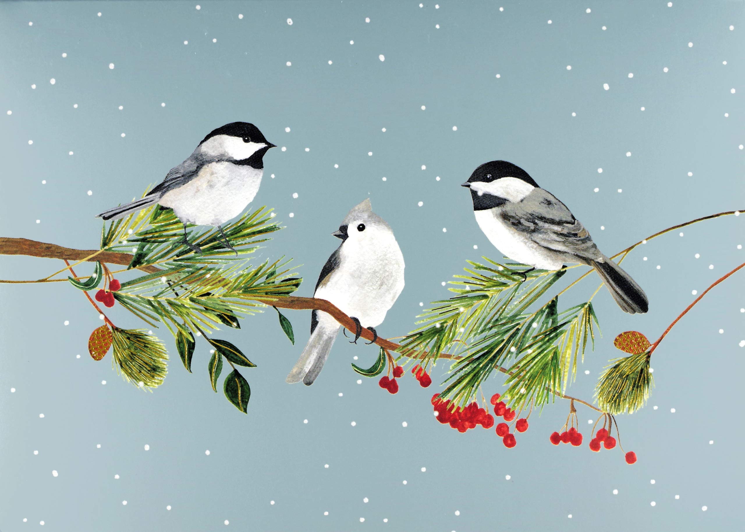 Birds Boughs Deluxe Boxed Holiday Cards Christmas Cards Greeting Cards Peter Pauper Press Inc 9781441330154 Amazon Com Books