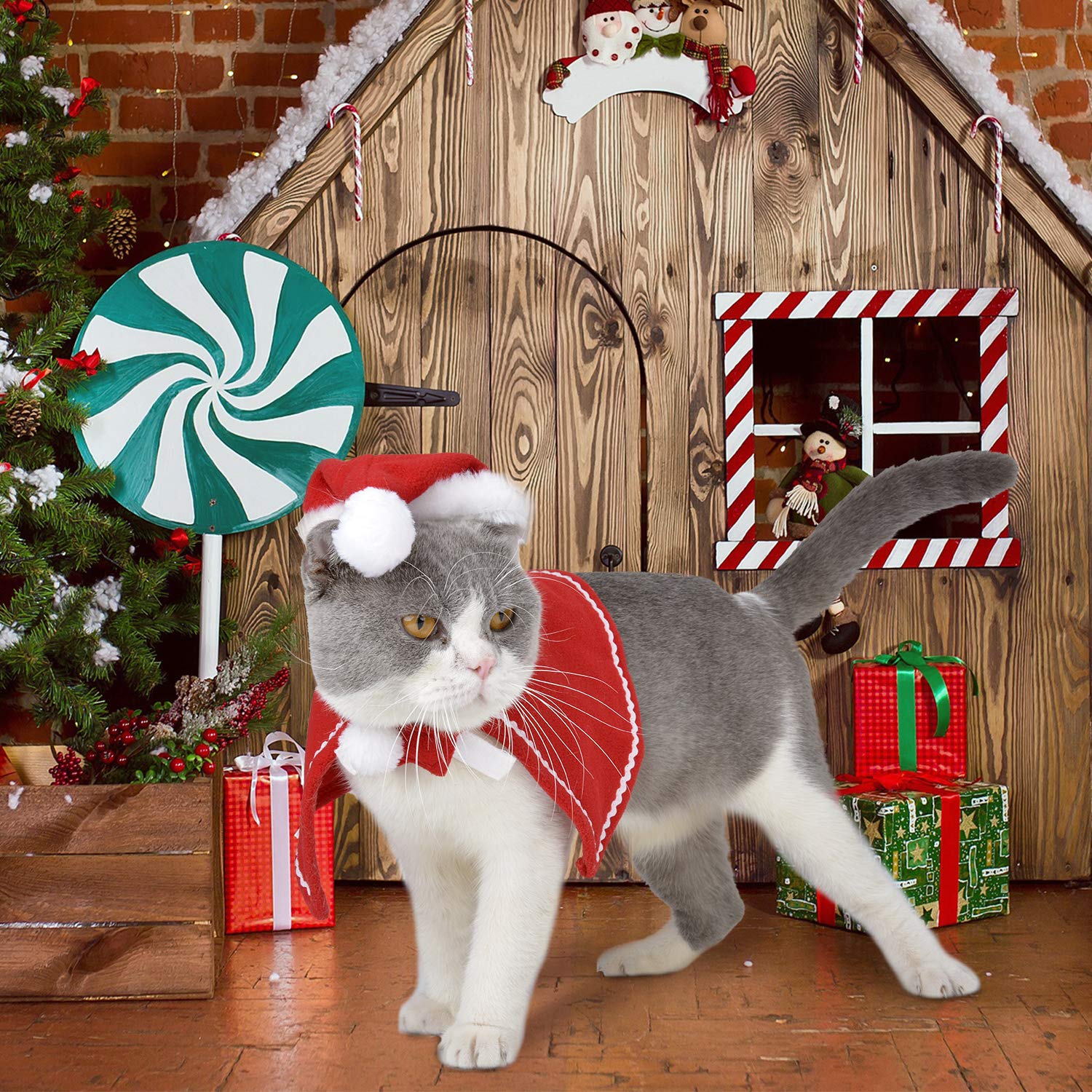 Legendog Cat Costume Pet Turkey Hat Thanksgiving Apparel Cats Small Dogs (Christmas Cloak and Christmas hat)