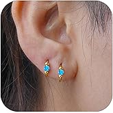 2 Pcs Small Cartilage Hoop Earrings for Women Men, 18G Opal Silver Earrings Hypoallergenic 316L Surgical Steel Hinge Huggie Hoop Earrings for Helix,Tragus,Conch,Rook,Earlobe Piercing Jewelry Nose Ring