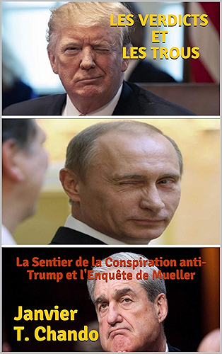 Download LES VERDICTS ET LES TROUS: La Sentier de la Conspiration anti-Trump et l'Enquête de Mueller (MALGRÉ EUX t. 2) PDF