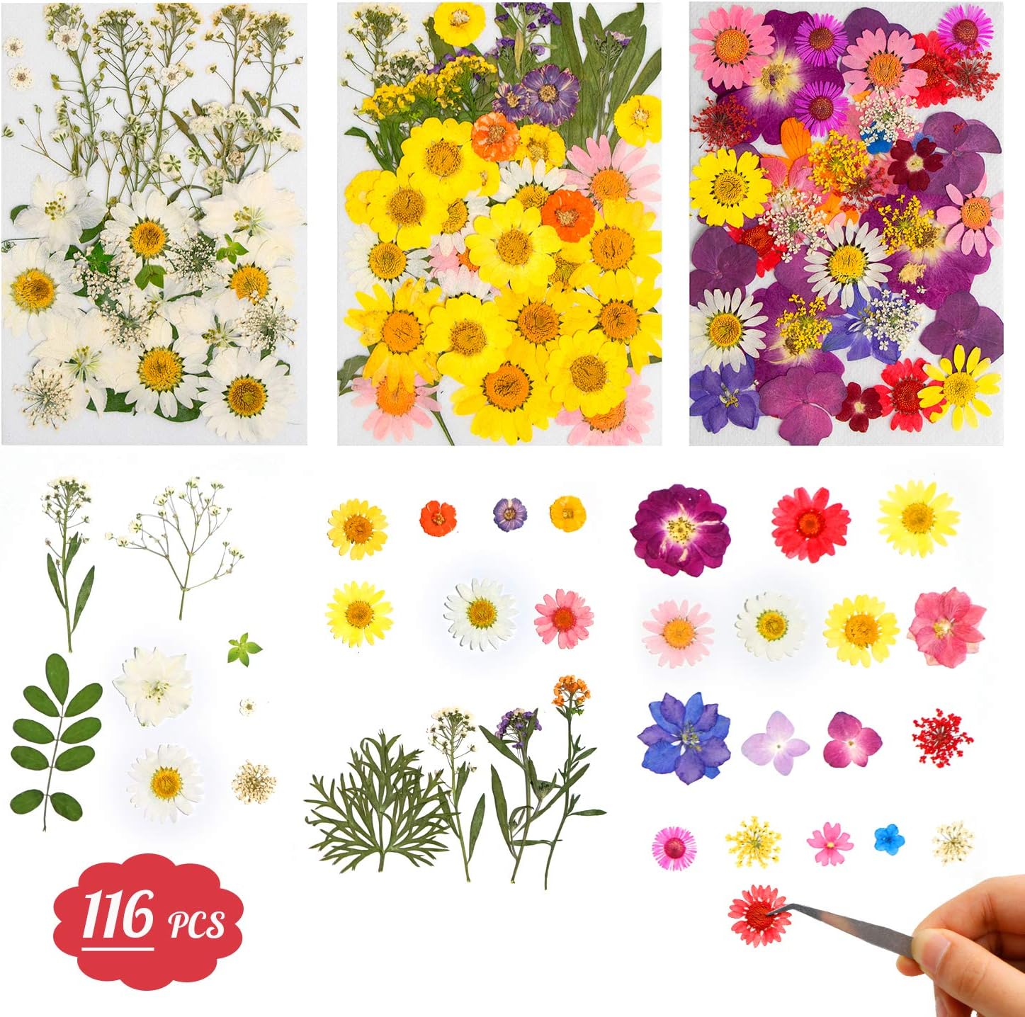 YRYM HT Dried Flowers-116 PCS Natural Dried Flower Herbs Kit for Bath, Soap Making, Candle Making and Resin Jewelry Making Art Floral Decors