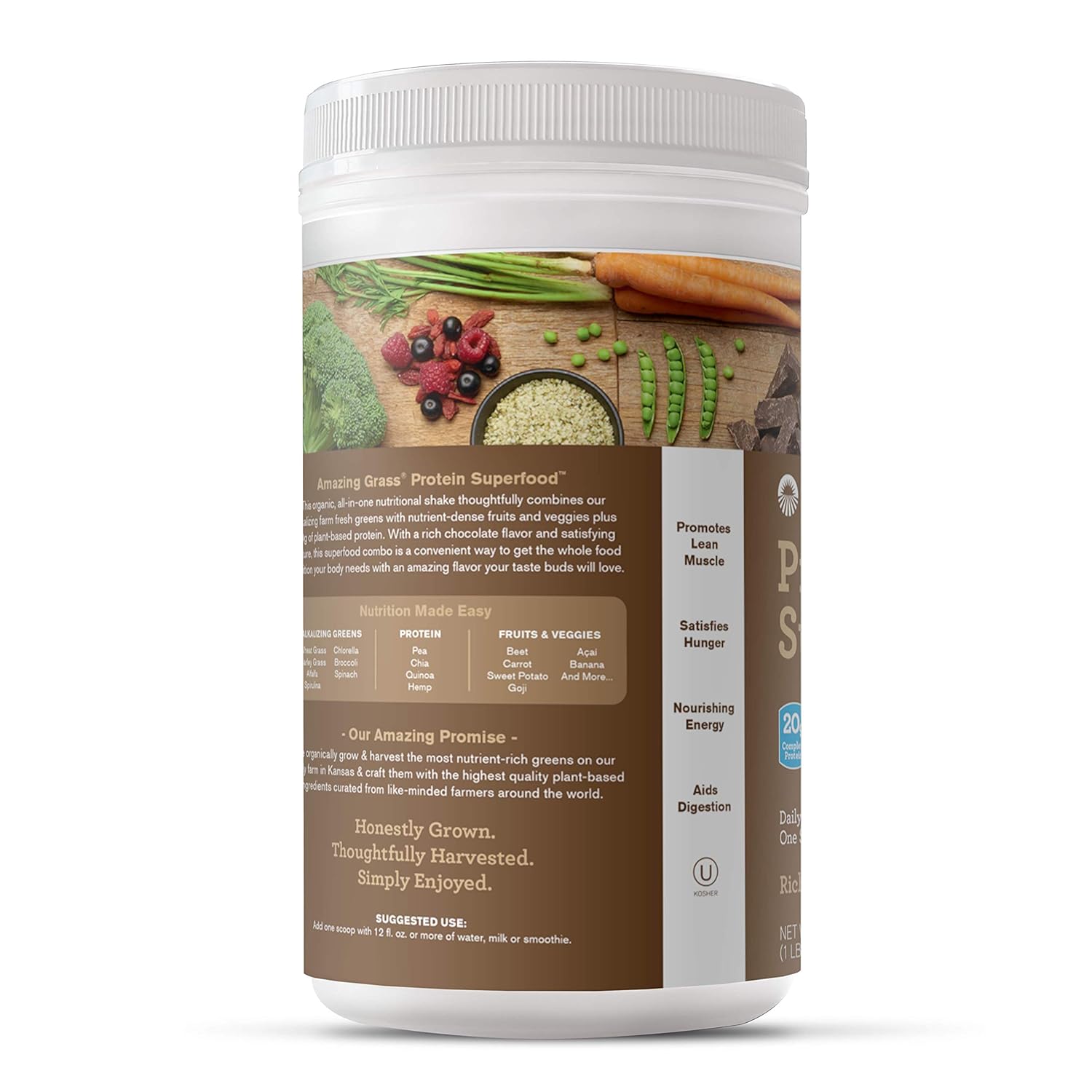 Amazing Grass Protein Superfood: Vegan Protein Powder, All-in-One Nutrition Shake, Rich Chocolate, 18 Servings : Grocery & Gourmet Food