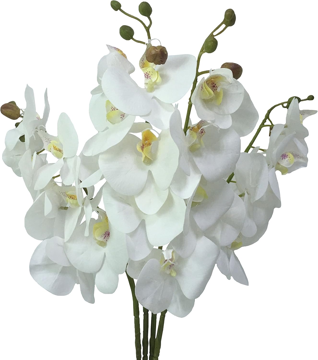 Amazon Com Jarown White Orchid Artificial Flowers 4pcs 30 Inches Furniture Decor Amazon Com Jarown White Orchid Artificial Flowers 4pcs 30 Inches Furniture Decor
