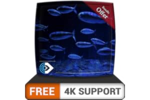 aquarium de poissons en cours d'exécution gratuit HD - profitez de la course de poissons sur votre téléviseur HDR 4K, votre t