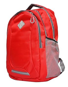 Shaina Bags Girls and Boys Red 15.6-inch Nylon Fabric Laptop Bag