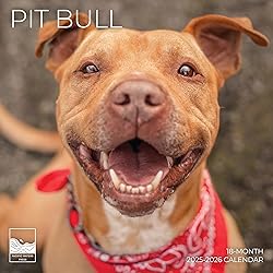 July 2025- December 2026 Pit Bulls Wall Calendar 18