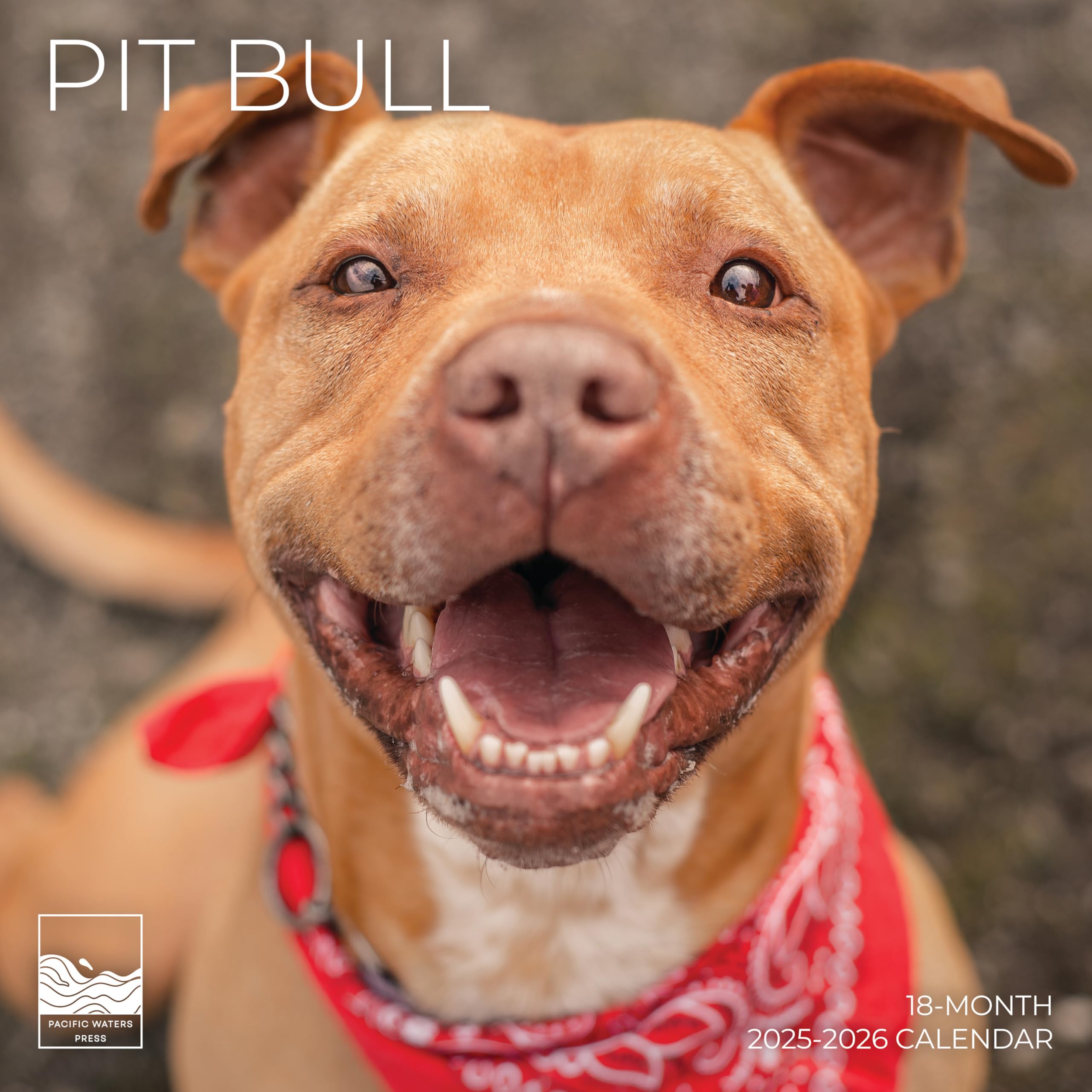 July 2025- December 2026 Pit Bulls Wall Calendar 18