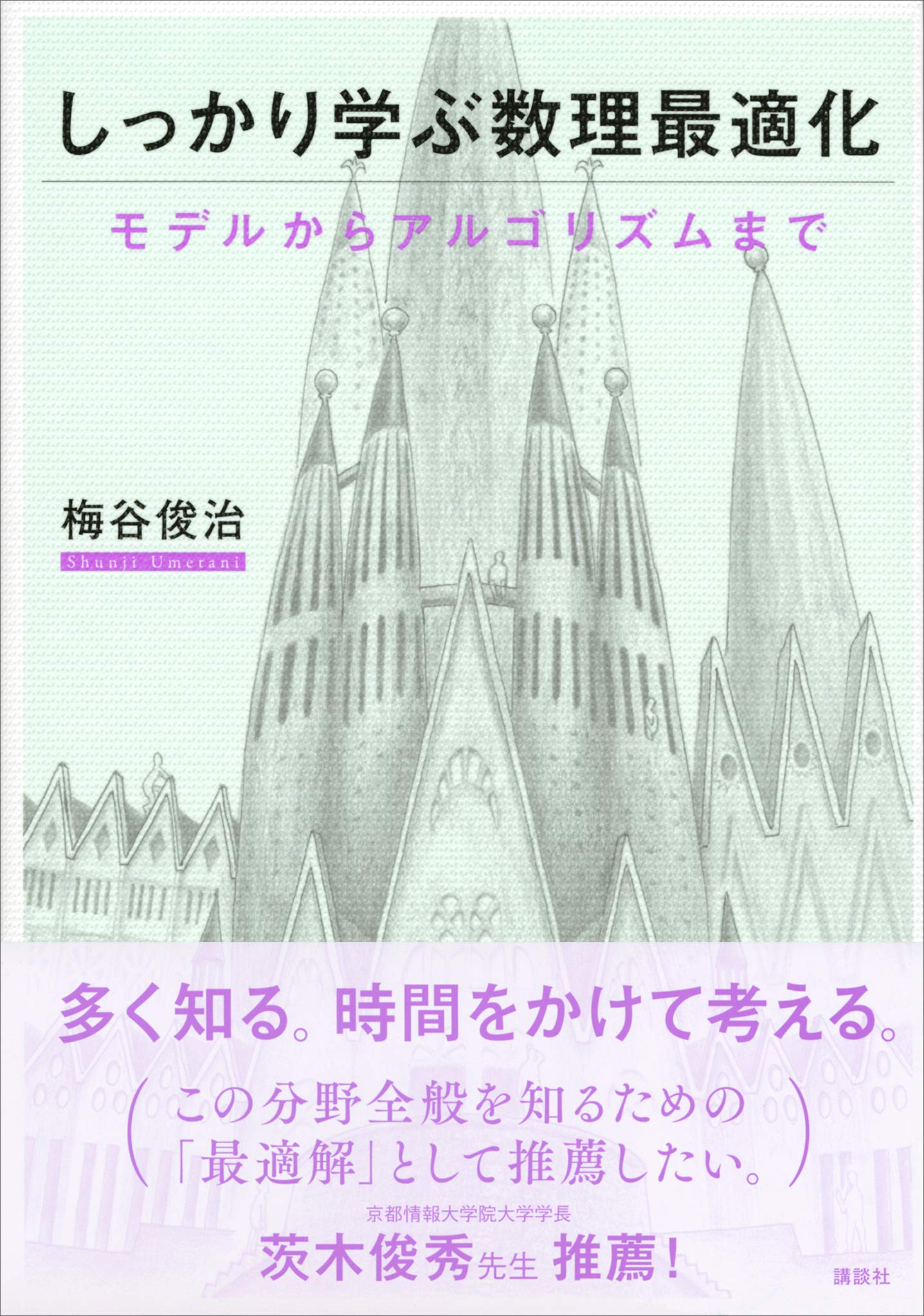 しっかり学ぶ数理最適化 モデルからアルゴリズムまで (ＫＳ情報科学専門書)