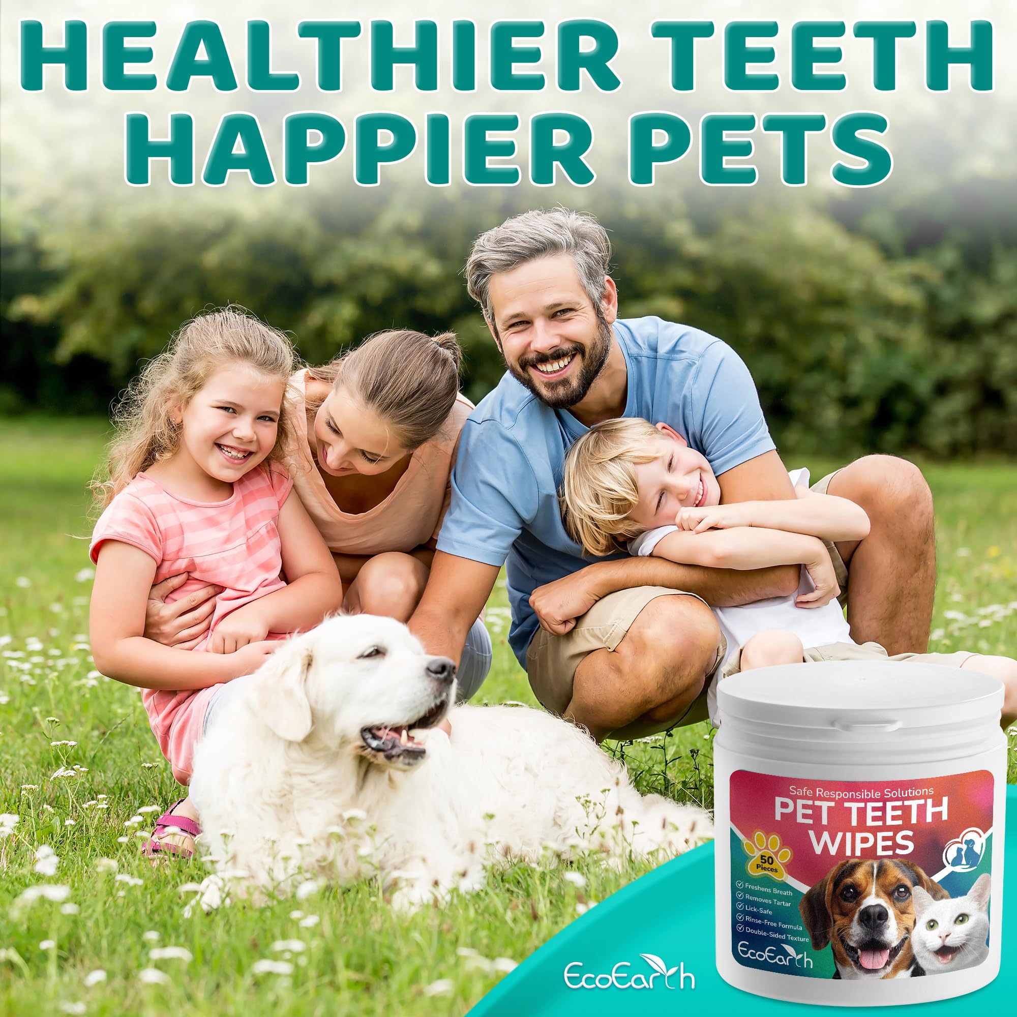 View 5