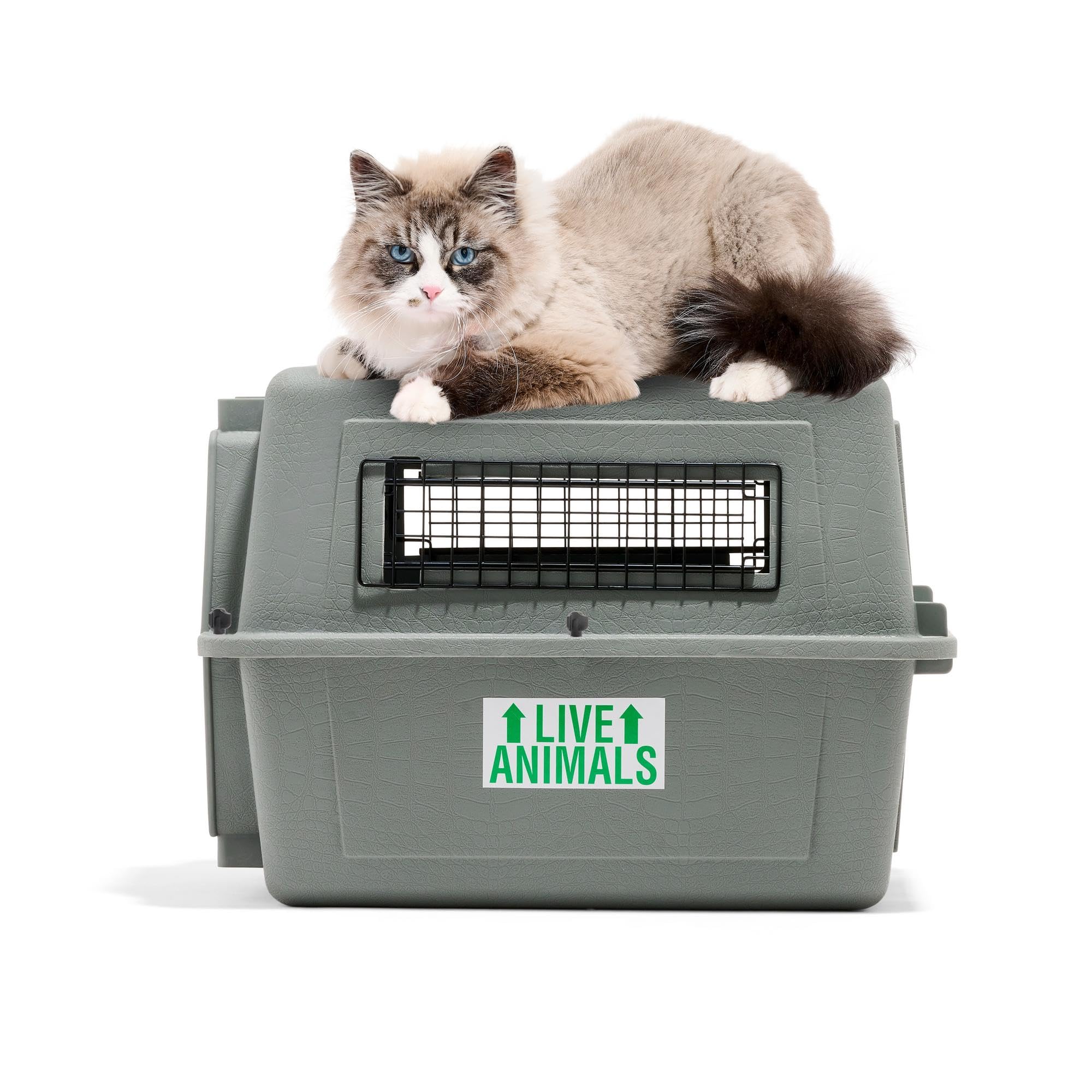 Petmate Sky Kennel - For Air and Travel, Airline Compliant Dog Crate for Pets up to 15 lbs, Heavy Duty Dog Kennel, Made in the USA- 21 Inches