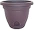 Bloem, llc Living LP1056 Lucca Self-Watering Planter, 10-Inch, Exotica