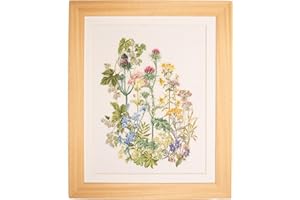 THEA GOUVERNEUR SINCE 1959 Thea Gouverneur - Counted Cross Stitch Kit - Herbs - Aida - 18 Count - Embroidery Kits for Adults - Crafts - DMC Embroidery Threads and Other Cross Stitch Supplies Included - 424A