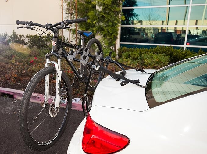 mountain bike trunk rack