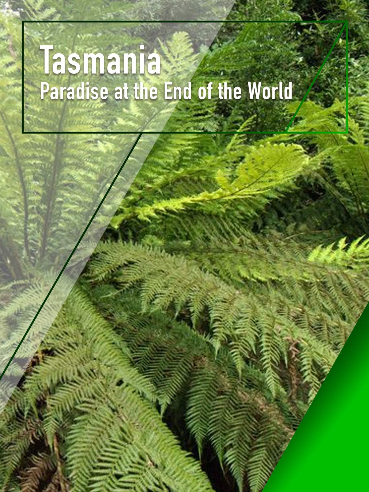 paradise outdoor living forest lake on Watch Tasmania Paradise At The End Of The World Prime Video