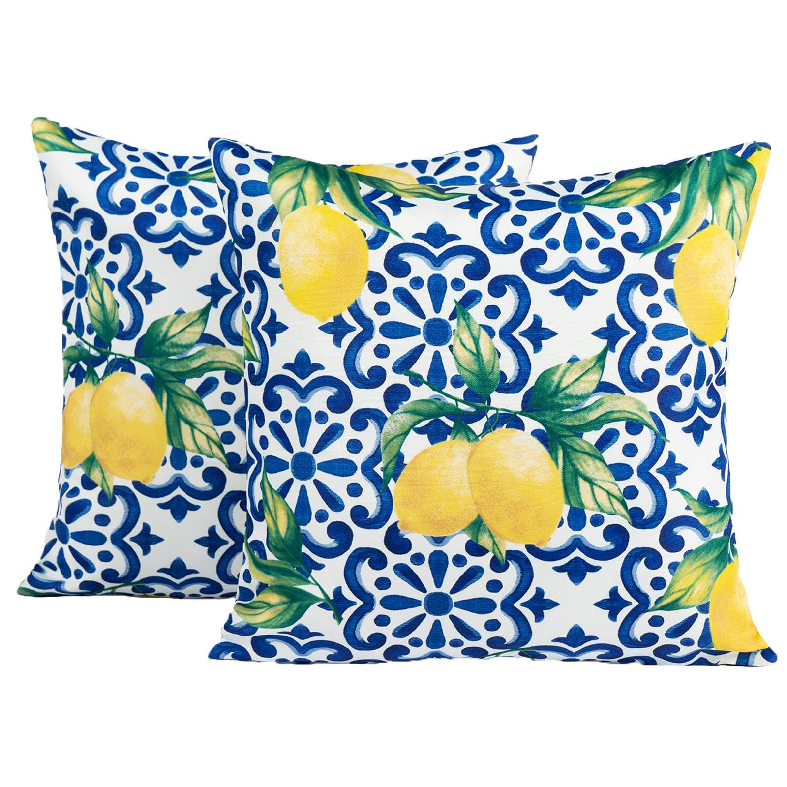 OHS Outdoor Cushions Waterproof Decorative Lemon Print Cushion Covers 45 x 45 Set of 2 Super Soft Patio Garden Cushions Home Decor Throw Pillow Covers with Invisible Zipper, Blue