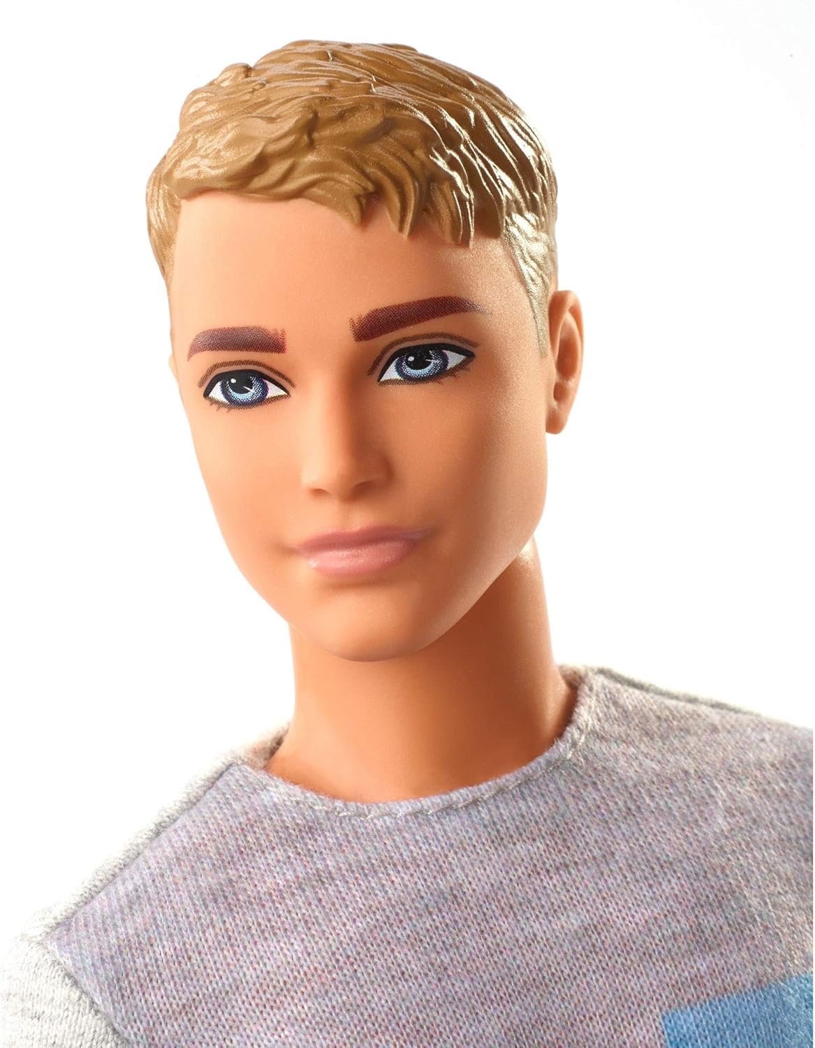 barbie in the dreamhouse ken