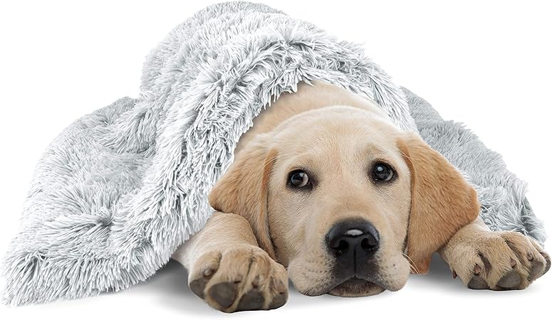 blanket for dogs with anxiety