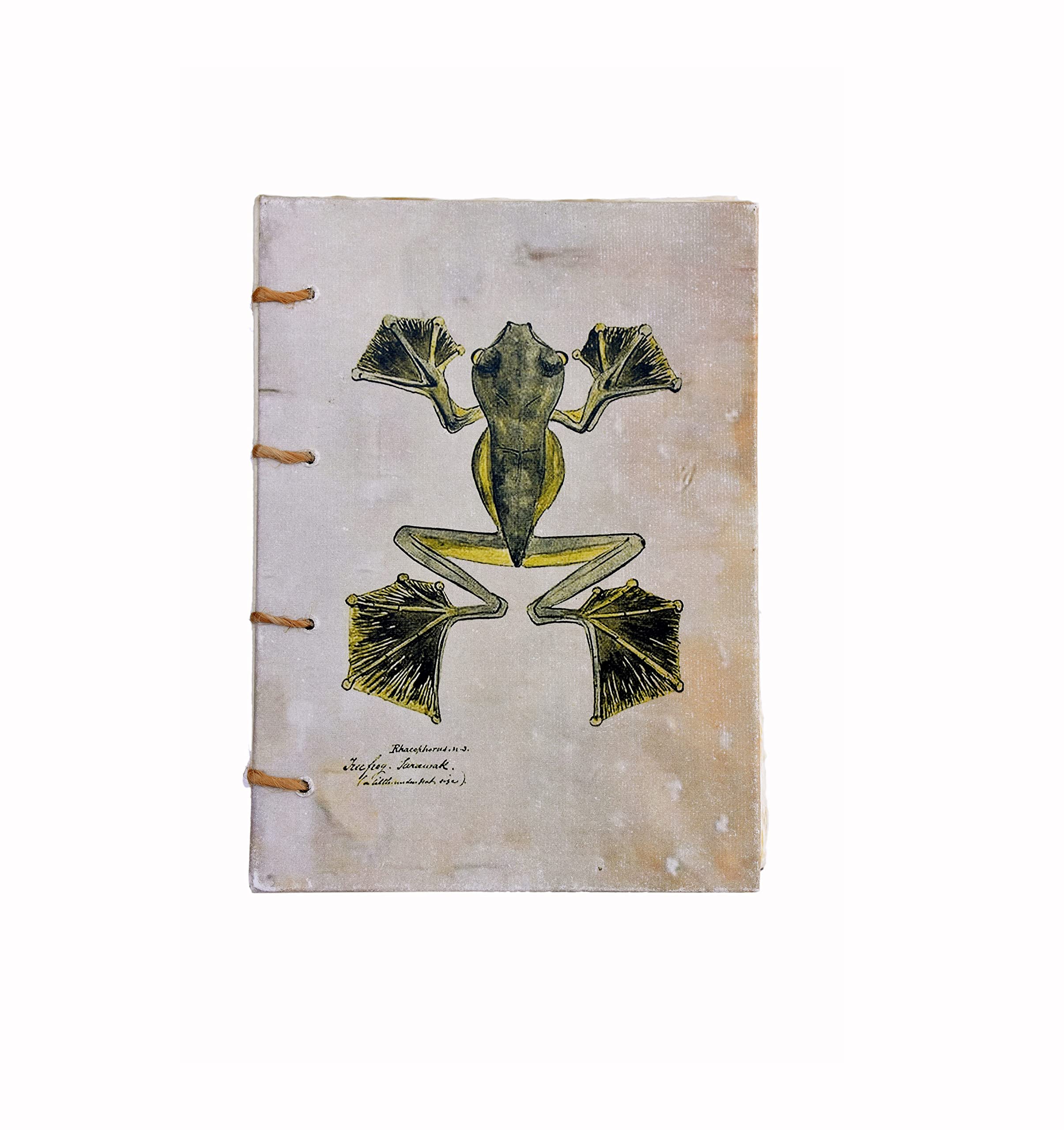Handmade Journal Travelogue Diary,Botanical Frog Art, Acid-Free Handmade Paper, Flat Open, Hard Bound, Swiss Binding, A5 Size, 125 GSM, 140 Blank Deckle Edge Pages
