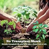 LATERN 100Pcs 8CM Biodegradable Seedling Pots with 100 Plant Labels view 3