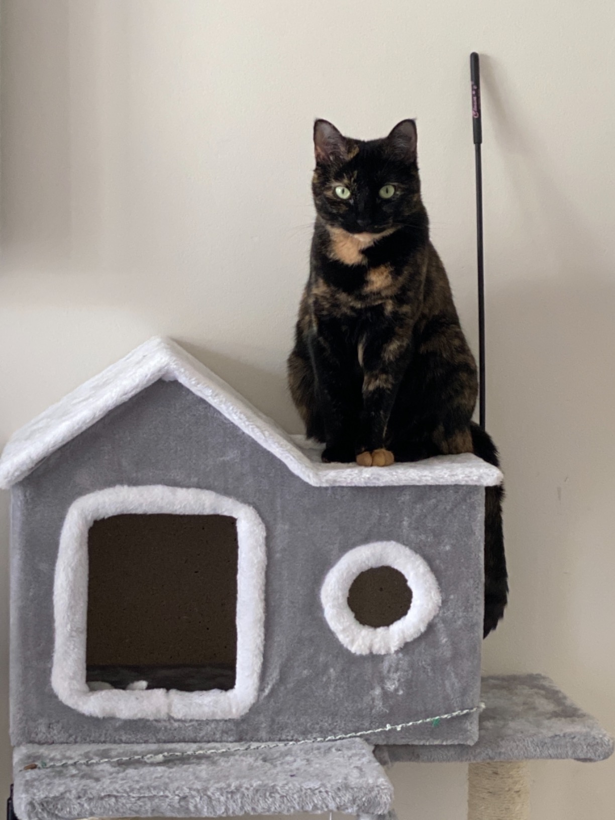 13/mo Finance COZ Cat Tree House with Ladder, Cat Tower Sisal Scratching Posts with Jump