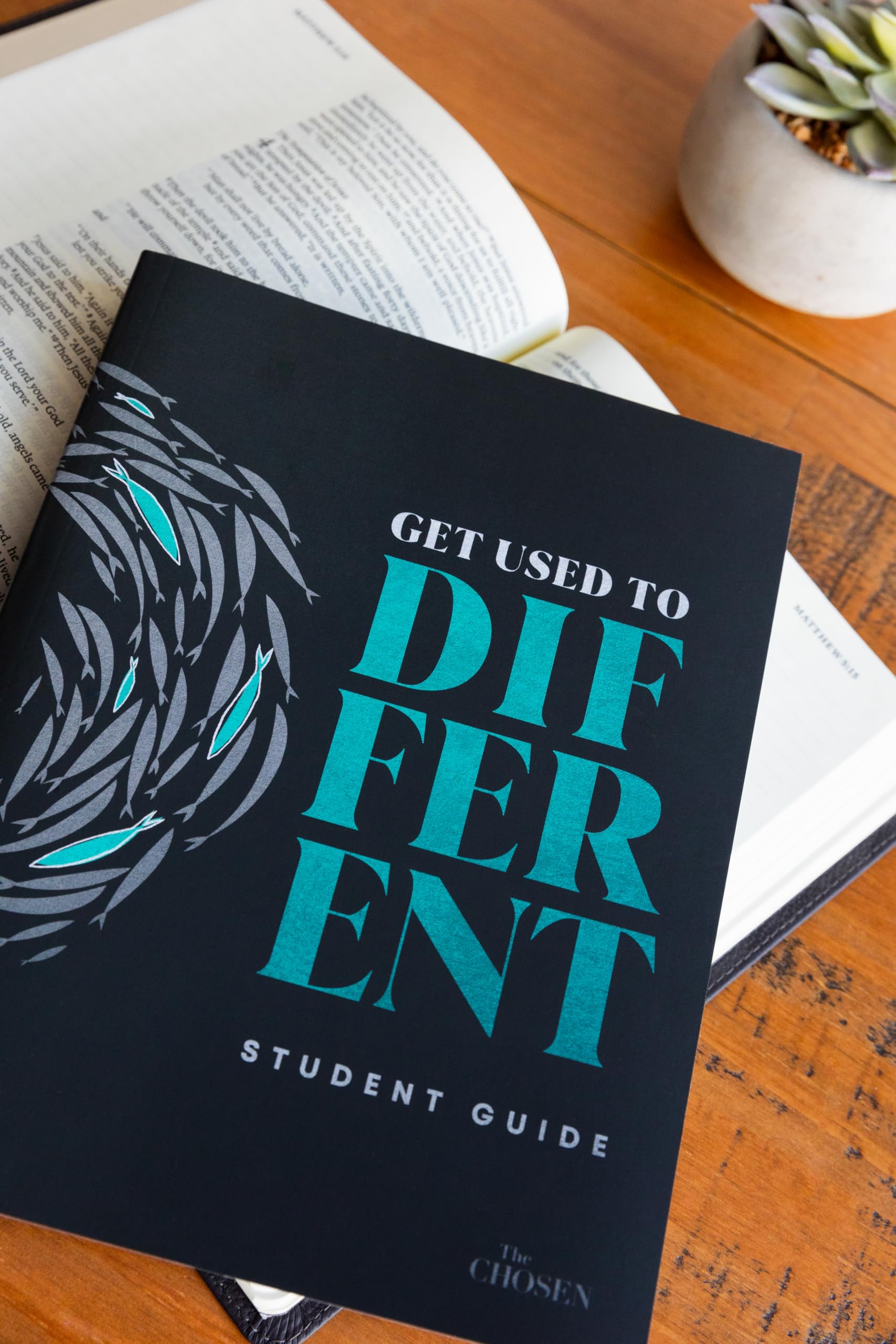 Get Used to Different: A Student Guide to The Chosen (The Chosen Bible Study Series)