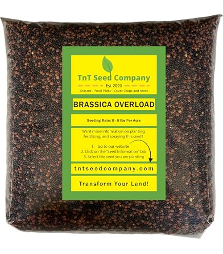 Grape SEED 1〜26 / 12〜26 Amazon.com : New Fresh 100pcs Mixed Grape Fruit Seeds
