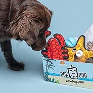 BoxDog - Monthly Dog Subscription Box with 100% Handmade Treats & 2 Dog Toys: Small Dog &