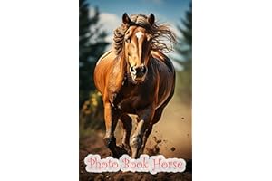 The Spirit of Horses: A Pictorial Journey: A Visual Tale of Horses' Spirit and Strength, Told Through Photography