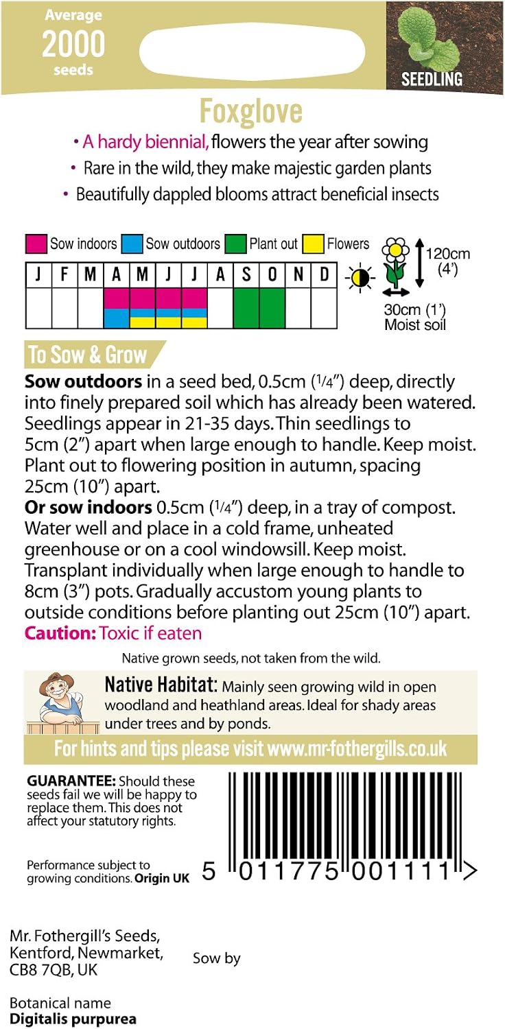 Mr Fothergill?s Seeds Ltd 12378 Flower Seeds, Foxglove, Purple - Image 3