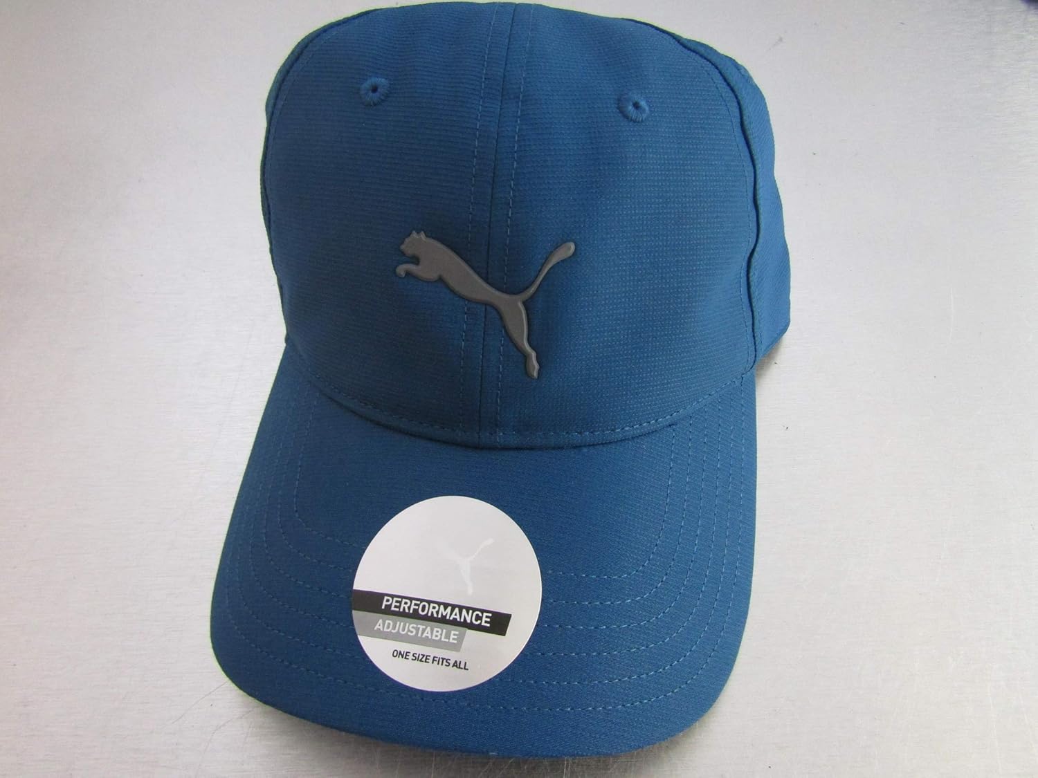 Puma Golf 2018 Men's Pounce Hat (Puma Black, One Size) : Clothing