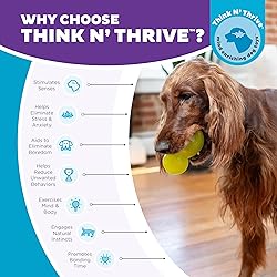 Outward Hound Double-Tuff Durable Interactive Treat