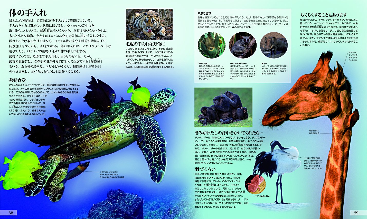 動物生態大図鑑 デイヴィッド バーニー 西尾 香苗 本 通販 Amazon