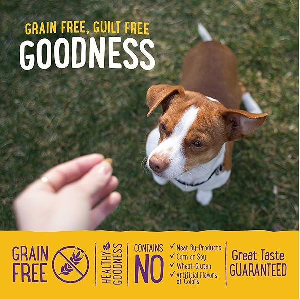 WELLNESS PUPPY BITES NATURAL GRAIN FREE PUPPY TRAINING TREATS, VARIETY