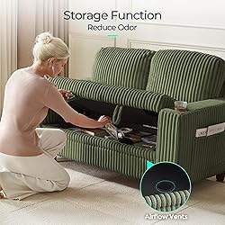 LINSY HOME Loveseat Sofa with Storage - Comfy Plush