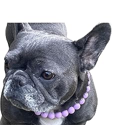 Dog Necklace