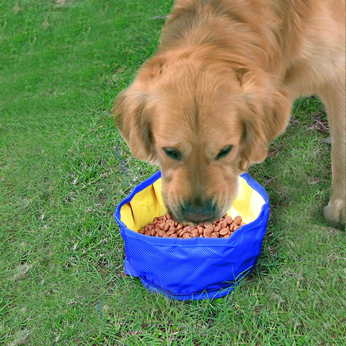 Fypo Faltbare Hundenapf, Fressnapf Wassernapf Katzennapf für Reisen Zusammenklappbar Haustier Blau/Gelb