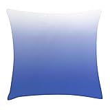 Ambesonne Ombre Throw Pillow Cushion Cover, Deep