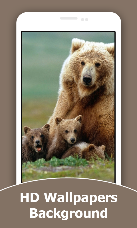 Wild Animals Cub HD Wallpapers