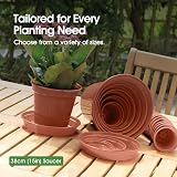 Whitefurze G04128 Garden Pot Saucer for 38cm Pot Terracotta view 4