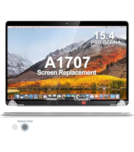 Amazon.com: Fotisangea Space Gray Silver 2016-2017 Year for