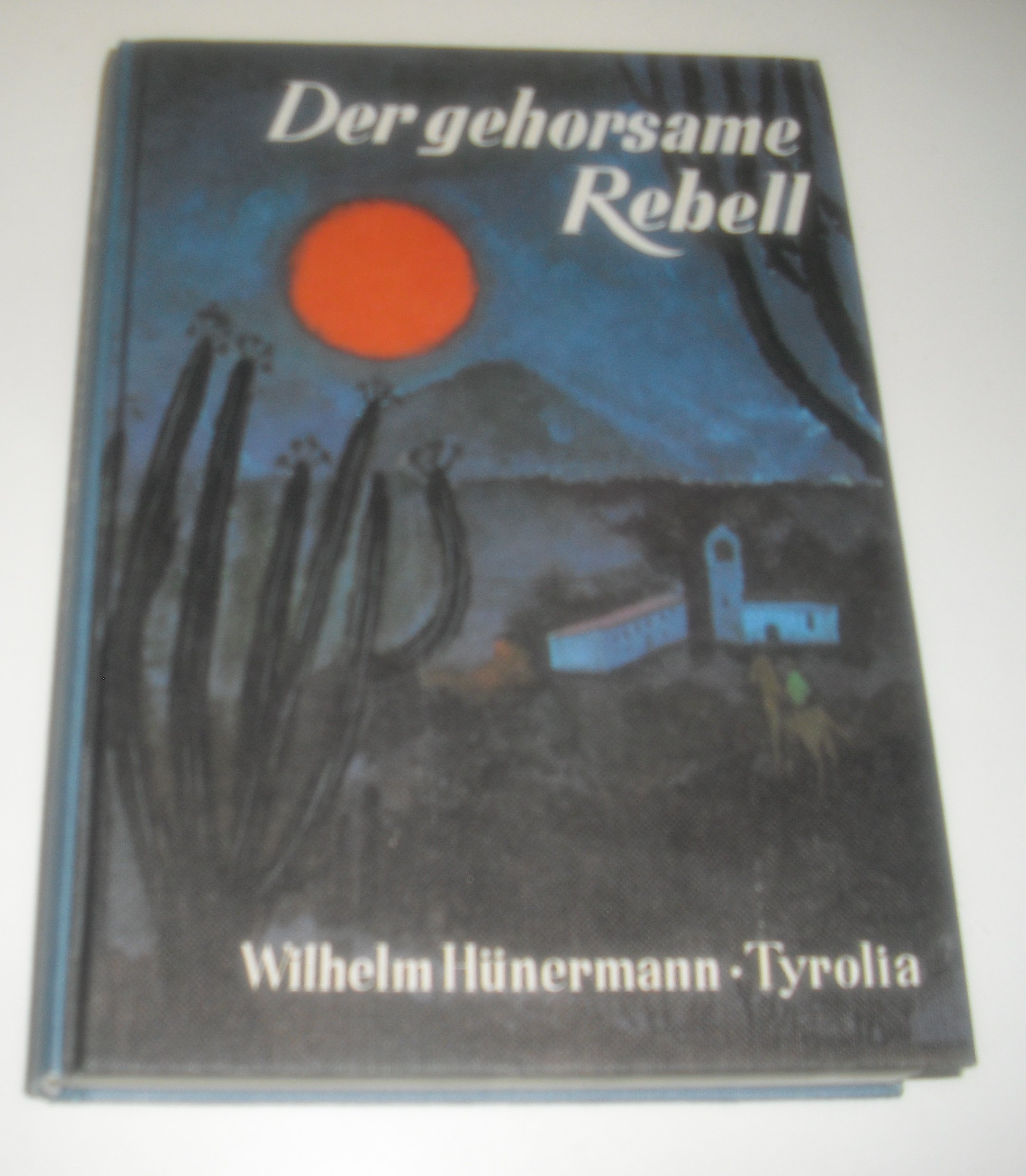 Der Gehorsame Rebell Abt Pfanner Der Grunder Von Marianhill Hunermann Wilhelm Amazon De Bucher