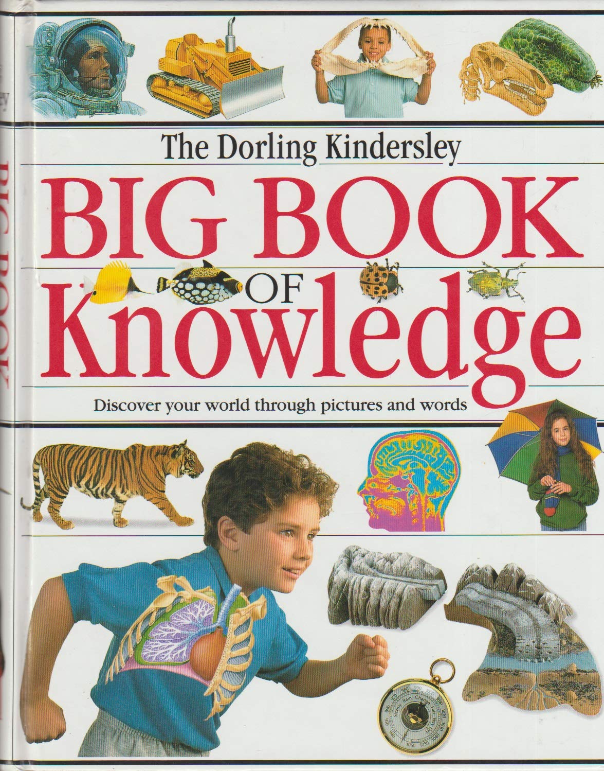 The Great Big Book Of Knowledge KnowledgeWalls