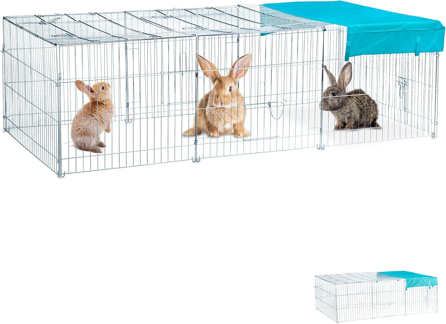 free range outdoor rabbits