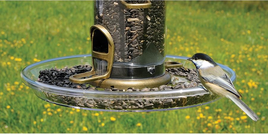 Amazon Com Aspects 423 Quick Clean Bigfoot Seed Tray Wild Bird