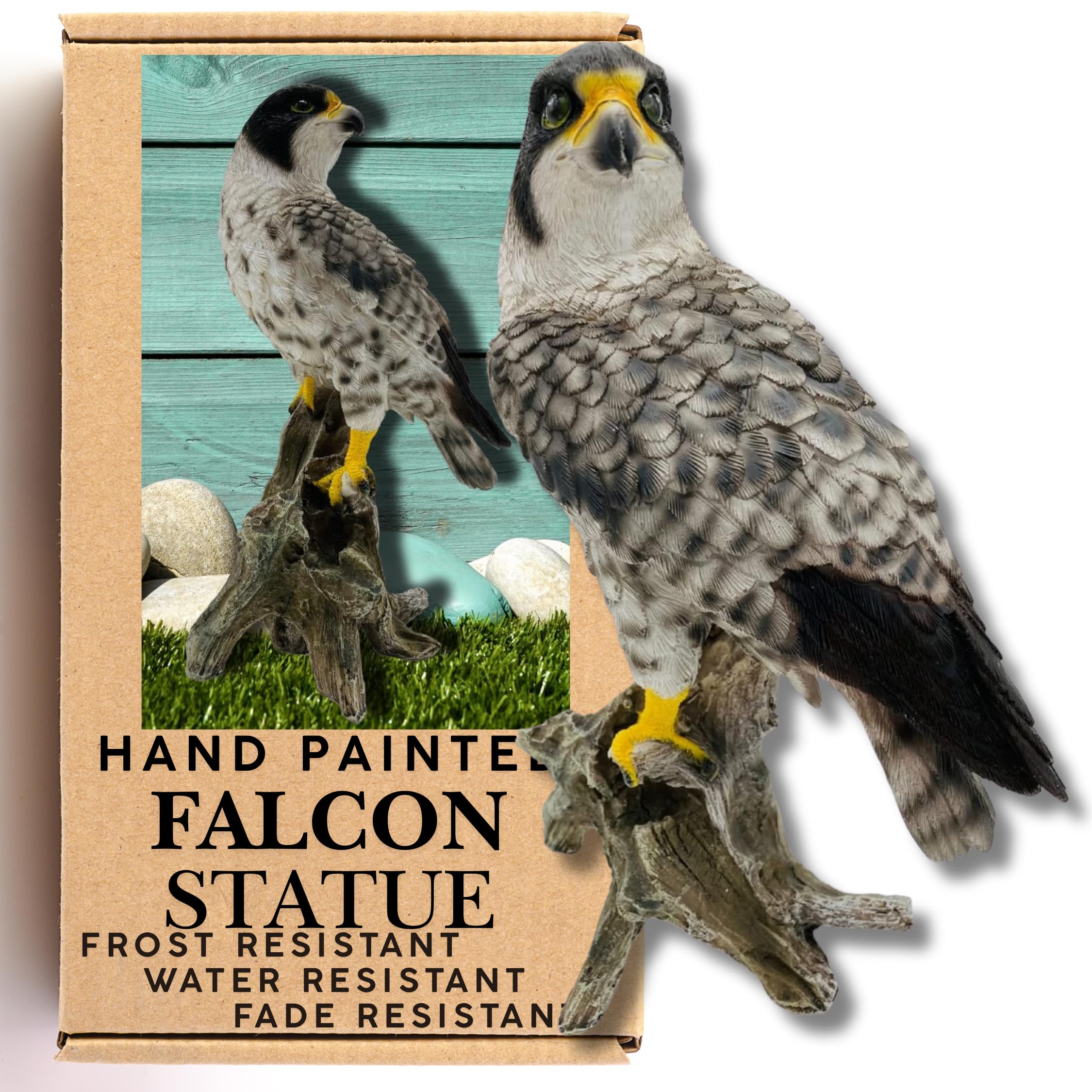 G&H Decor Peregrine Falcon 26cm Resin Statue - Amazing Detail British Falcon - Weather Resistant Bird Ornament